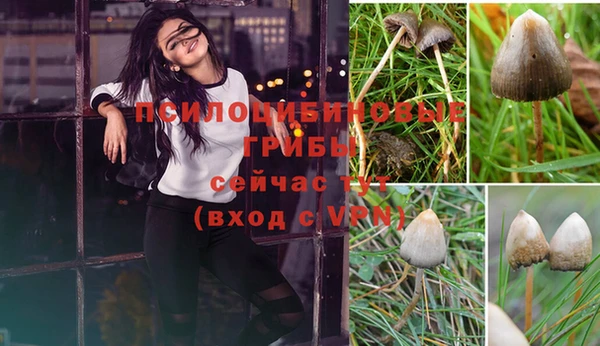 гашишное масло Беломорск