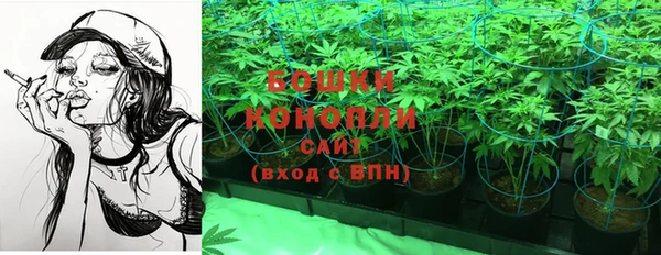 марки lsd Белокуриха