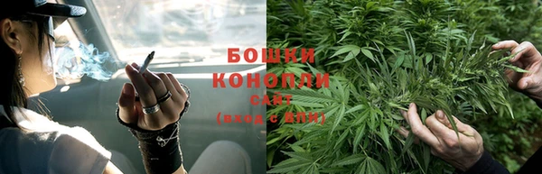 марки lsd Белокуриха