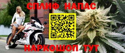 ALPHA PVP Кунгур