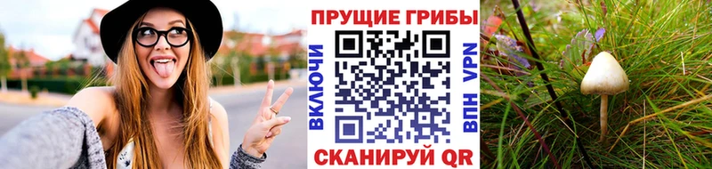 Галлюциногенные грибы Magic Shrooms  Кузнецк 