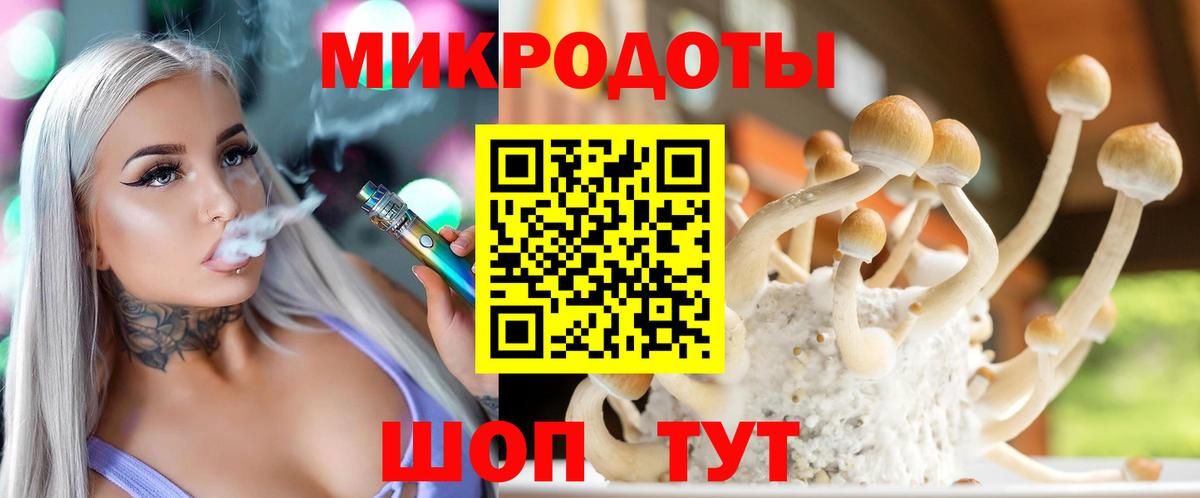 Кузнецк  купить  сайты  Вход с VPN  Псилоцибиновые грибы мухоморы 